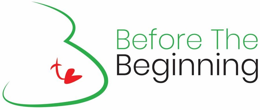 before the beginning