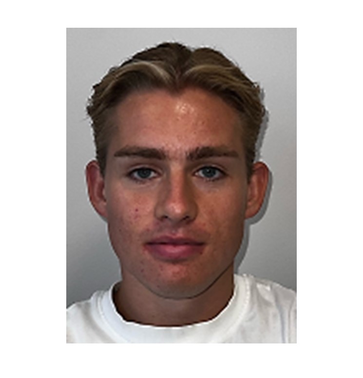 Henrik A. Sørum profile